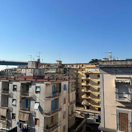 Appartement 49
